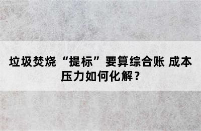 垃圾焚烧“提标”要算综合账 成本压力如何化解？